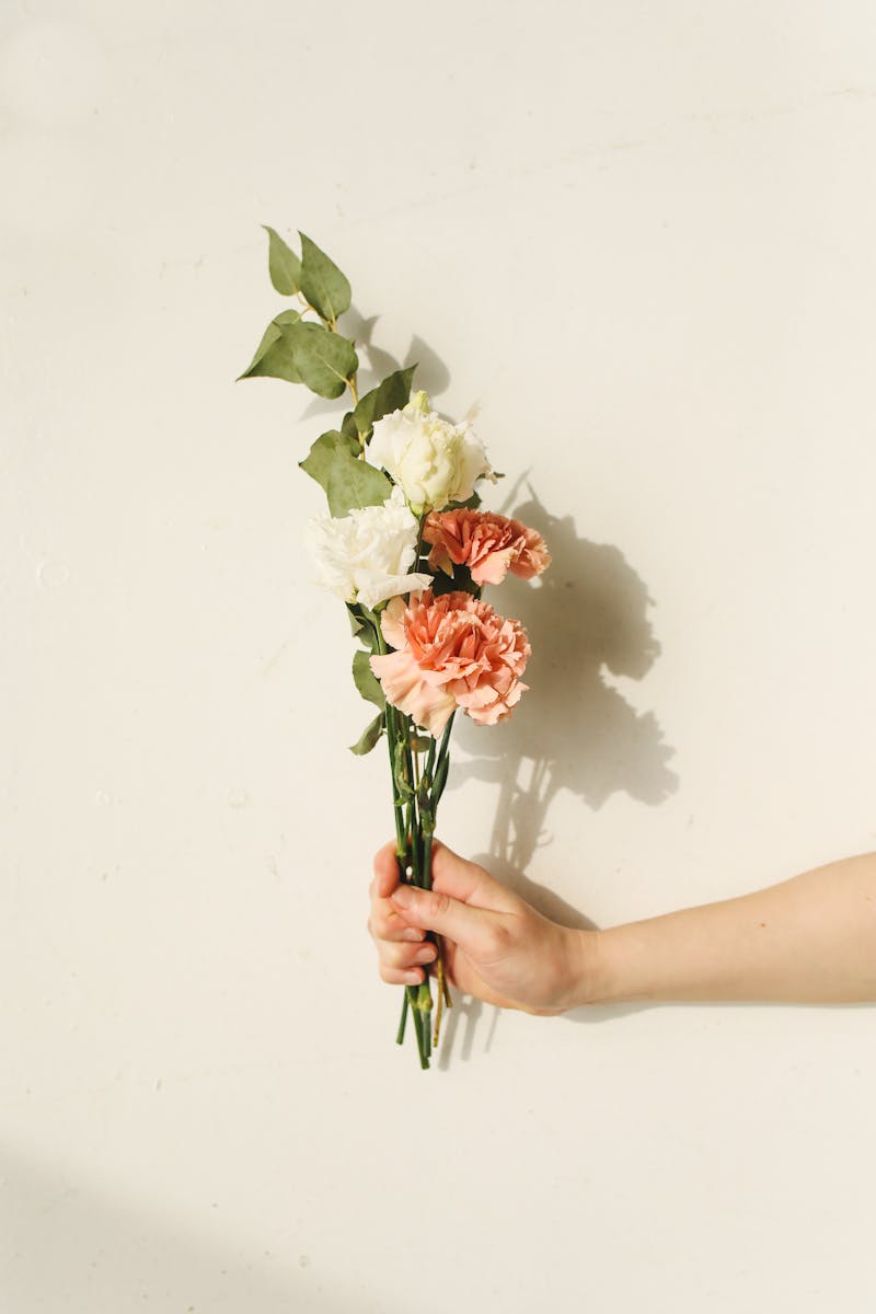 A delicate bouquet of carnations held in hand against a minimalist background.