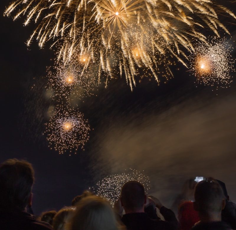 people watching fireworks at nighttime